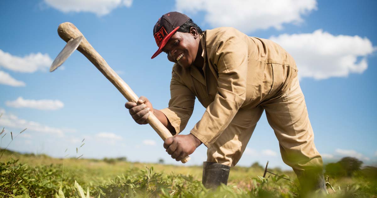 Kiva: make a loan, change a life